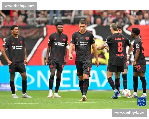 霍芬海姆迎战勒沃库森德甲焦点对决走势前瞻深度解析看点全面